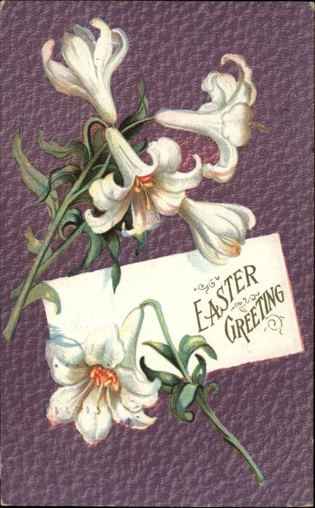 EASTER lily flowers purple background ~ 1910 embossed postcard Lily