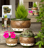 Set of Three (3) Designer ** LUSH CERAMIC JADE PLANTER TRIO ** Drain hole ** NIB Garden Plants