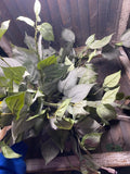 Artificial Green Foliage Faux Plant Decor Bouquet Green Plant