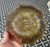 Set of 2 Amber Iridescent Carnival Glass Sunflower Round Bowl Sunflower