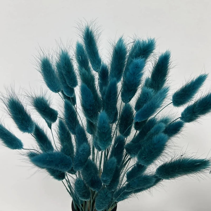 120pcs Bunny Tails Dried Flowers Spring Summer Plant Boho Pampas Grass 17 inc... Dried Flower