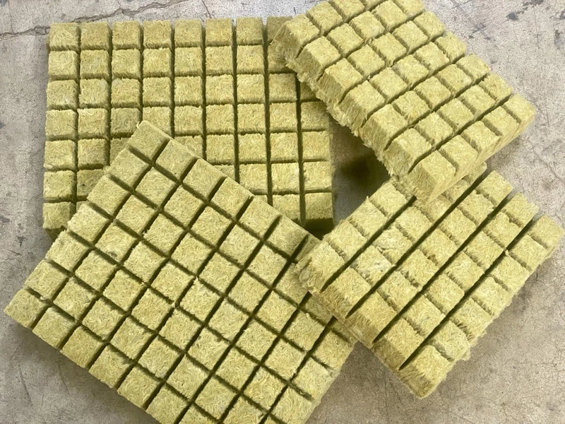 Grodan 1.5" A OK Starter Plugs Cubes, Hydroponic grow media indoor garden Garden Plants