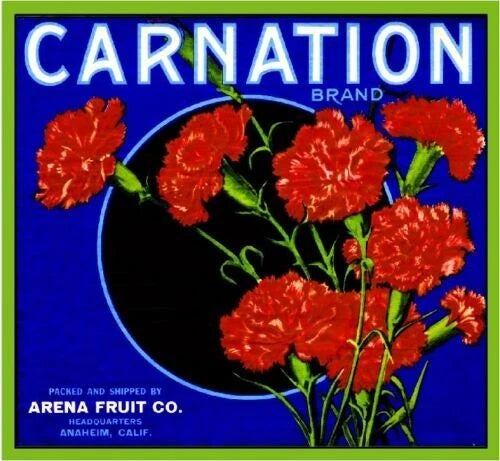 Vintage-style carnation flower label art print with orange blooms on blue background
