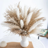 Fluffy Dired Reed Grass, Boho Decor, Pampas Grass Bulk, Dried Flowers for Wed... Pampas Grass