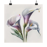 Lavender Calla Lilies Flower Art Print, Flower Painting, Flower DŽcor 01 Lily