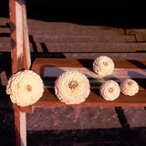 30 Zinnia Sola Wood Diffuser Flowers 4 cm Dia. for Decorate Craft Peony
