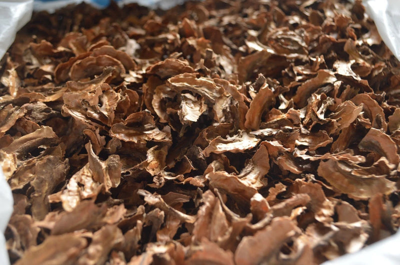 Dried walnut shell partitions for herbal tea, brown broken pieces