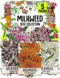 Milkw*ed Seeds for Planting a Butterfly Garden to Attract Monarch Butterflies - Garden Plants