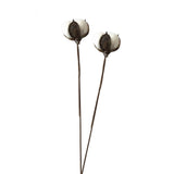 Dried Cotton Stems Single Branch Artificial Flowers Home Wedding Dried Flower