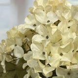 21" Artificial Cream Hydrangea Decorative Floral Bush Hydrangea