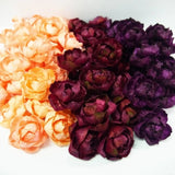 50 Peony Roses Sola Wood Diffuser Flowers 5 cm Dia. dyed in P/RW/BR Carnation