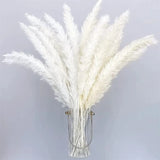 30pcs White Natural Fulffy Grass Dried Flowers Decor Artificial Flower Pampas Grass