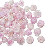 CITYES 60 Pcs Natural Dried Daisy Flowers Heads Bulk Gerbera Daisies Pink Dried Flower