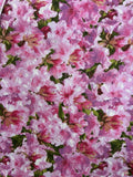 Pink Floral Azaleas Fabric 100% Cotton Sold By The Yard Flowering Plants