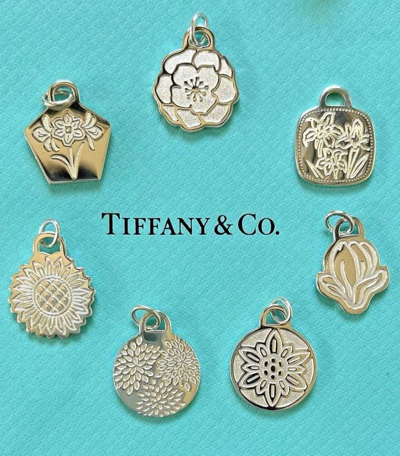 TIFFANY & Co Sterling Silver Necklace Nagoya Marathon Go Women Tag Charm Pendant Carnation
