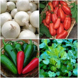 Easy-Gro Pico de Gallo Garden Seed Kit Over 100 Seeds! Grow and save $$! Garden Plants