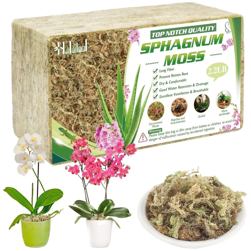 Natural sphagnum moss for orchids: compressed block and loose moss in bowl