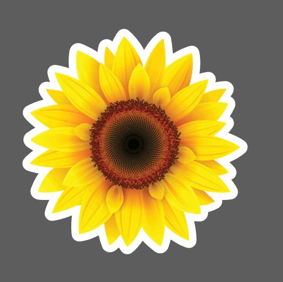 Yellow sunflower sticker with dark center and white border