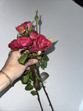TWO-Winward American Beauty Rose Floribunda 19Ó Faux Florals NEW Ranunculus