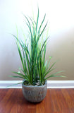 2 Orchid Grass and 10 Long Grass Artificial Plastic Plants Flowers Landscape Green Plant