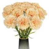 15PCS Carnations Artificial Flowers Champagne Silk Carnation 20.47" Long Stem... Carnation