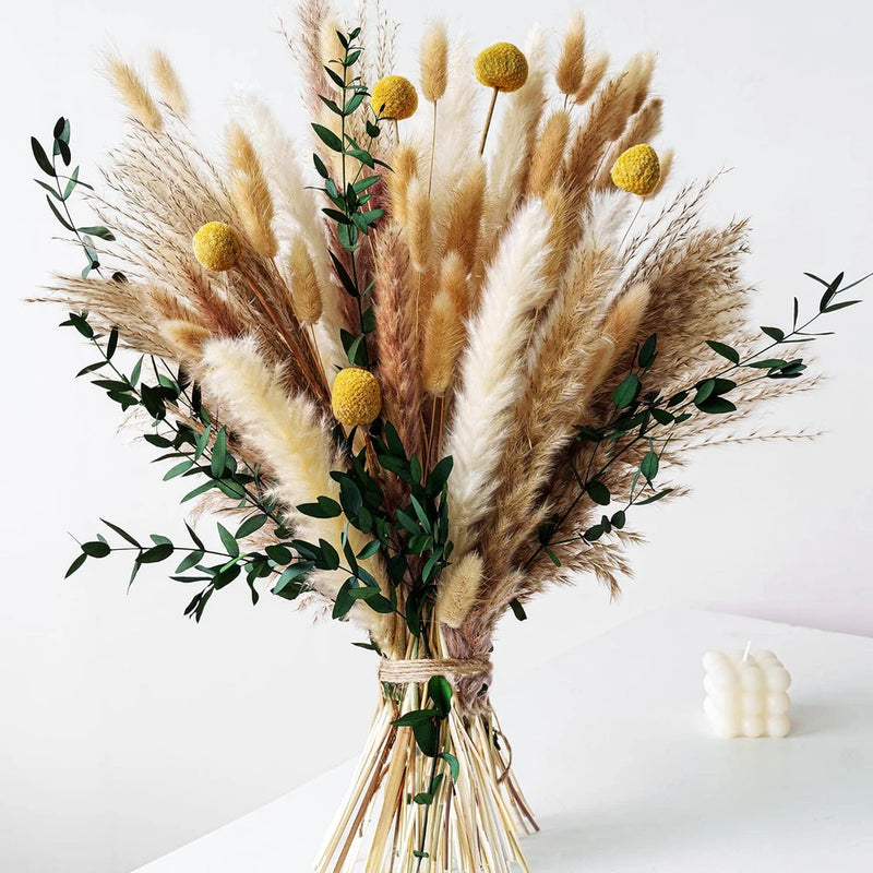 Boho Dried Flowers Bouquet Olive Green Pampas Grass for Wall Decor Pampas Grass