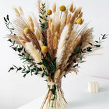 Boho Dried Flowers Bouquet Olive Green Pampas Grass for Wall Decor Pampas Grass