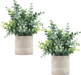 Set of 2 Eucalyptus Potted Artificial Plants for Home Decor - Sage Green Green Plant
