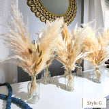 Pampas Grass Centerpieces White Bunny Tails, Baptism Decor, Wedding Decor Pampas Grass