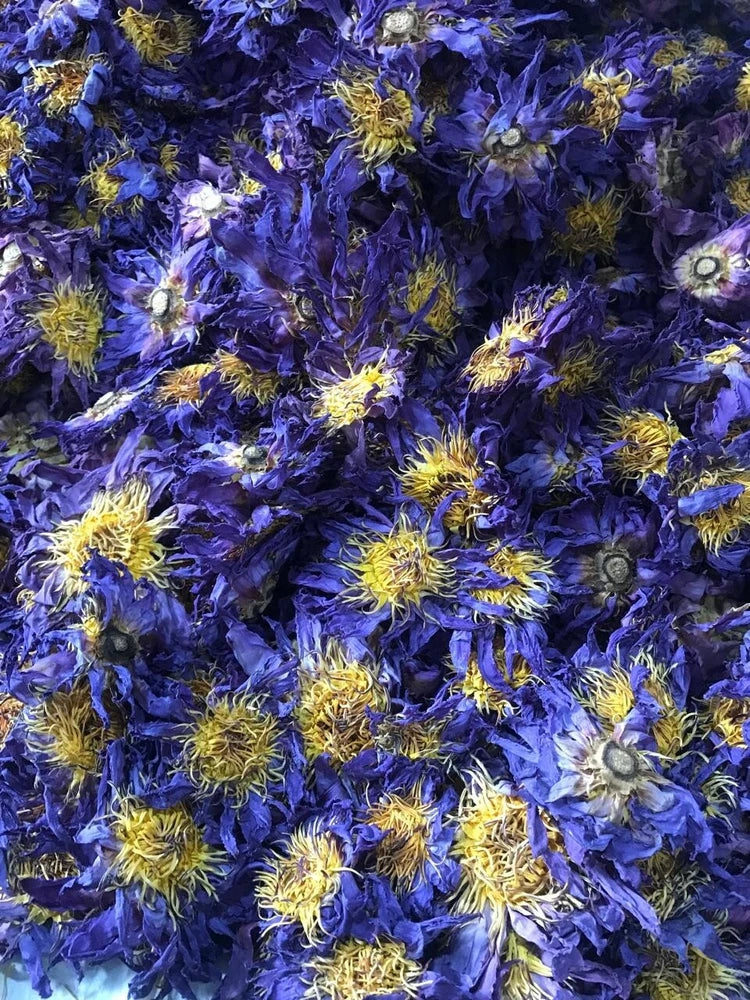 Dried blue lotus flower petals for herbal tea
