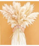 46" Inch 10 Stems Natural Pampas Grass Decor Tall, Pompas Grass, Tall Pampas Gra Pampas Grass