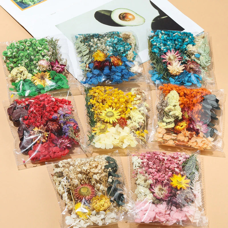 15g dried flower craft pack with mixed dried blossoms, assorted colors