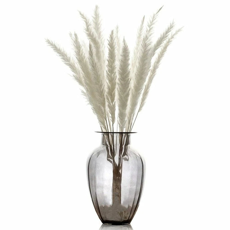 15pcs Natural Dried Small Pampas Grass Rabbit Tail Wedding Flower Bouquet Decor Pampas Grass