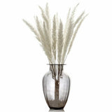 15pcs Natural Dried Small Pampas Grass Rabbit Tail Wedding Flower Bouquet Decor Pampas Grass