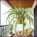 65cm Artificial Hanging Chlorophytum Plant PVC Fake Green Wall Home Decor Green Plant