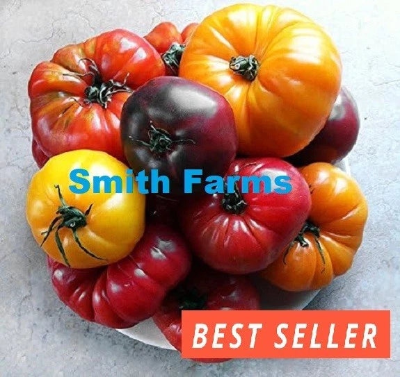 50+ Seeds Mixed Rainbow Tomato Juicy Easy to Grow Vegetable Garden Planting Garden Plants