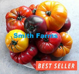 50+ Seeds Mixed Rainbow Tomato Juicy Easy to Grow Vegetable Garden Planting Garden Plants