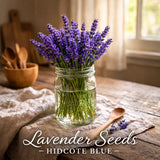 Lavender Seeds Ð Hidcote Blue | Heirloom English Lavender | Fragrant 25 Seeds Garden Plants