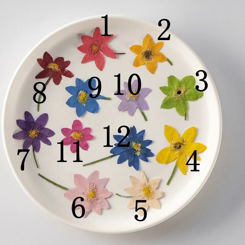 Pressed dried flowers set with stems, dyed multi-color blooms for crafts (12 pcs)