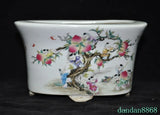 Wucai porcelain boy climbing peach cranes rich peony flower Bonsai Potted plant Peony