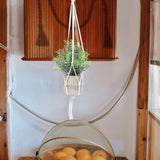 4 Pcs Flower Pot Hanging Basket Garden Plant Display Plants Hangers Decor Garden Plants