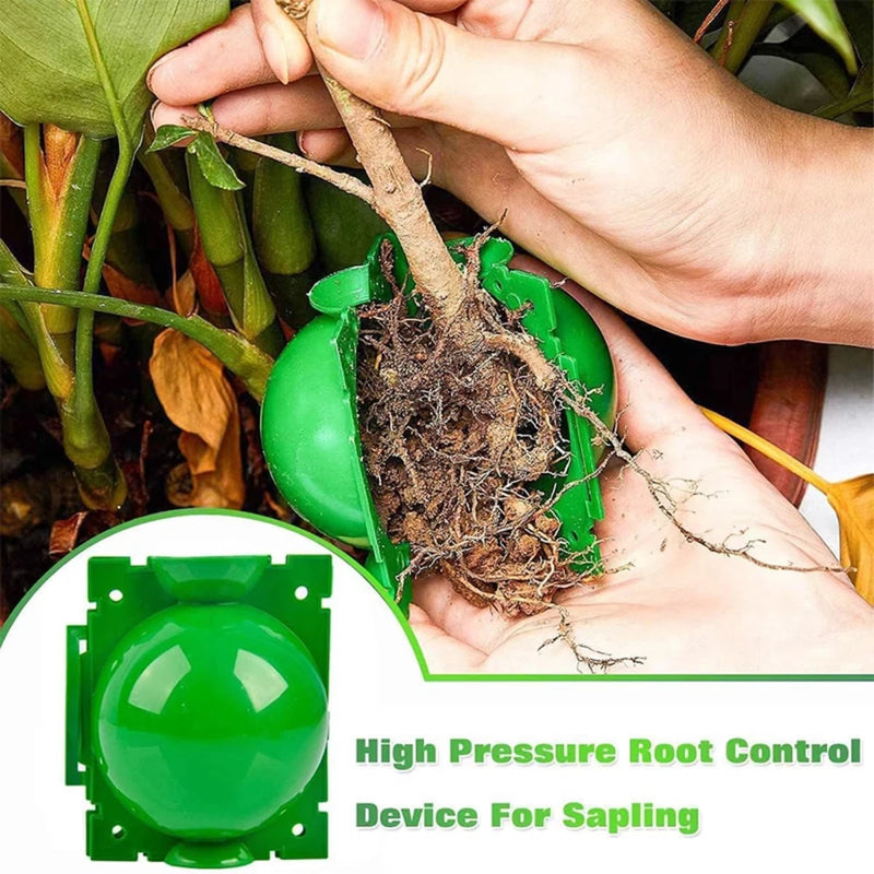 Plant Rooting Ball Garden Grafting Box Breeding Rooting Case Plant 10pc green Garden Plants