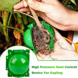 Plant Rooting Ball Garden Grafting Box Breeding Rooting Case Plant 10pc green Garden Plants