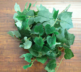 Piggyback Plant Vine Hanging Bush Home Wedding Backdrop Decor Floral Craft Bushe Green Plant