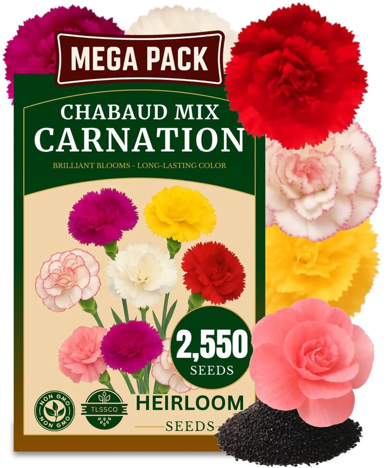 TLSSCO 2550+ Carnation Flower Seeds for Planting, Pack 2026 USA Mix Carnation