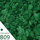 40g Green Artificial Fake Plant Eternal Life Moss Grass For DIY Home Wall Decor Green Plant