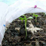 New Parts Plant Cover Garden Non-woven  for PROTECTION Reusable Transparent Garden Plants