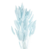 60pcs Natural Bunny Tails Dried Flowers 24" Mini Pampas Grass, Pale Blue Pampas Grass