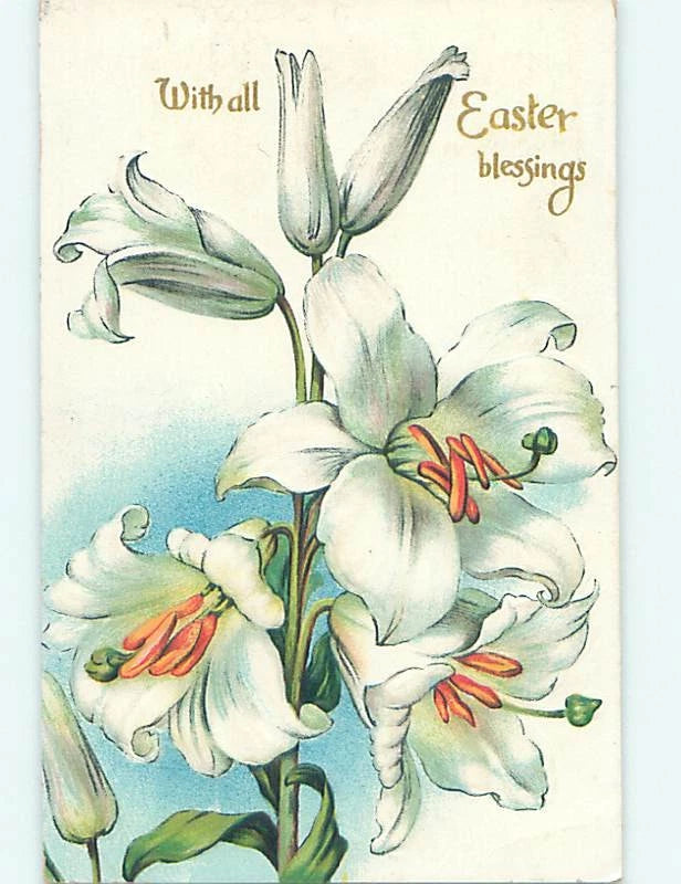 Divided-Back BEAUTIFUL EASTER LILY FLOWERS : make an offer o5816 Lily