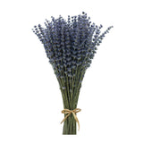 CoolCrafts Dried Lavender Flowers Bundles 200 Stems Dry 200+ stems, Purple Dried Flower
